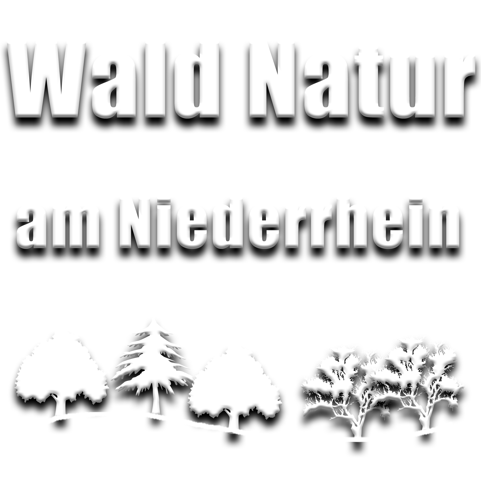 Wald und Natur Niederrhein